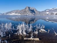 Raureif bedeckte Schilfstengel am Walchsee Ufer mit Miesberg